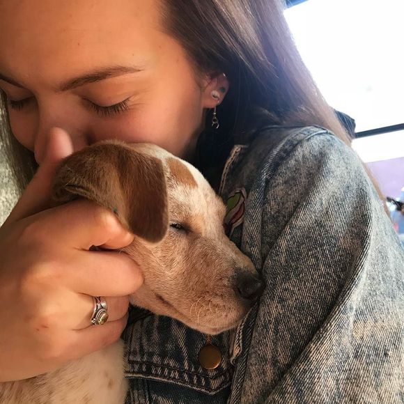 Meet your Posher, Mackenzie - Picture 1 of 1